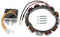 TUELETFU 592831 Lichtmaschine Doppelkreis mit 845907 Spannungsregler Rasenmäher Traktor ersetzt 696459 691063 393474 393800 und 394890 797375 797182 393374 691185