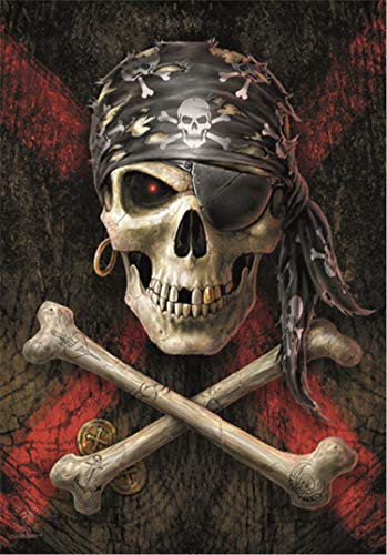 Heart Rock Drapeau Original Anne Stokes Pirate Skull, Tissu, Multicolore, 110 x 75 x 0,1 cm