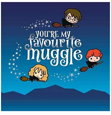 Harry Potter You're my favourite muggle Birthday Card