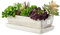 botle Keramik Blumentopf Blumenschale Kakteenschale Untersetzer Wasserloch Kakteen Bonsai Sukkulenten (rechteckig, hellgrau)