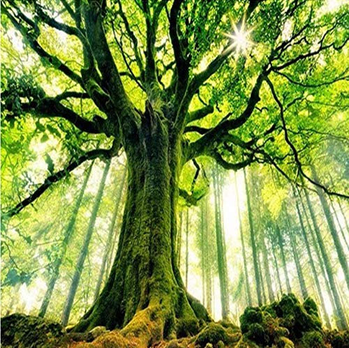 Photo Papier Peint Grand arbre 3D Intissé Décoration Murale XXL Poster Trompe l oeil Tableaux Muraux pour Salon Chambre Toile de Fond Mur 140x100cm