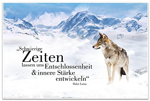 wandmotiv24 Poster als Wanddeko, Größe 60x40cm, Wolf in den Bergen, Entschlossenheit, Wölfe, Tiere, Moderne Wanddeko, Wandbilder, Deko, Bild M0084