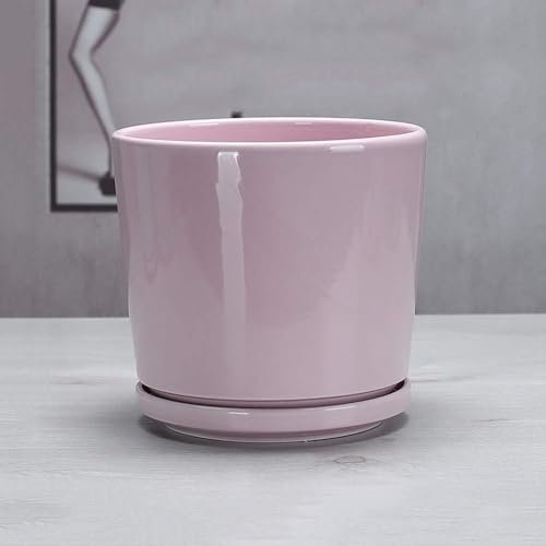 LWLYLCHBM Pot en céramique grande plante succulente verte personnalité créative grand diamètre avec plateau pot de fleurs extérieur intérieur balcon plante pot de fleurs style 1||M