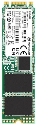 Transcend MTS970T 256GB Interno M.2 SATA SSD 2280 SATA III Industrial TS256GMTS970T