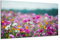 DARO Design - Wand-Bild auf 6mm HDF 70x50 cm Blumenwiese - Wand-Deko Bilder Geschenk