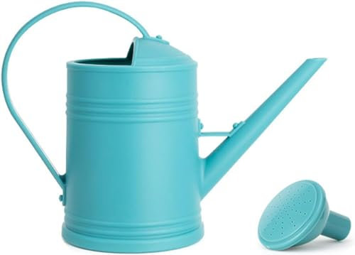 Youning Gießkanne 2L Garten Giesskanne Klein Gießkanne Zimmerpflanzen Blumengießkanne Wasserkannen mit Abnehmbarer Brause Kunststoff Gartengießkanne Pflanzengießkanne für Innen und Außen (Blau)