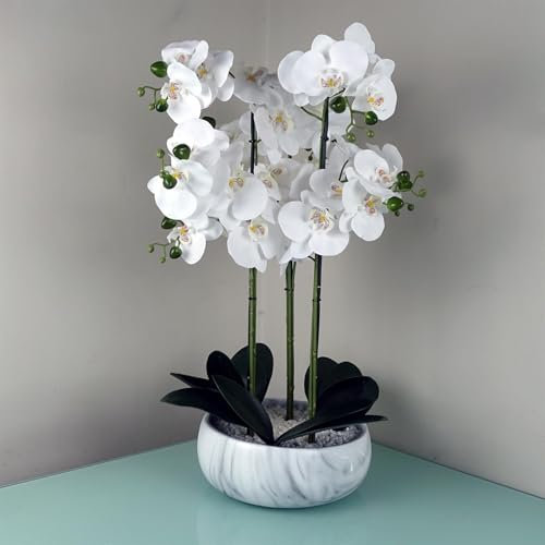 Realistic Artificial Orchid Plants Fully Potted