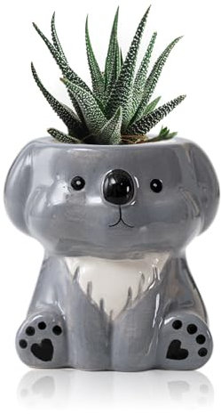 BLOSSOMLIFE Cute Animals Planter, Mini Ceramic Cartoon Animal Shaped Succulent Flower Pot Indoor Air Plants Holder, Mini Flower Vase Fun Animal Decor (Koala)