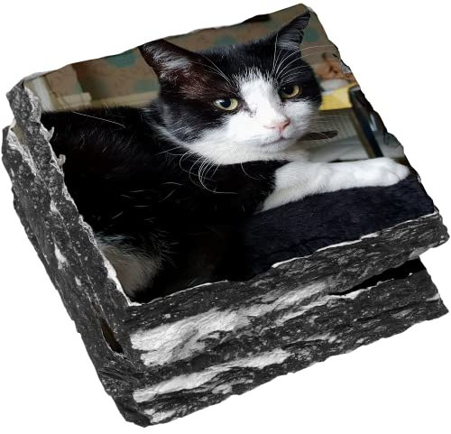 Personalised Slate Coasters Using Your Photos - 9cm, Square, Gloss, Rock Slate - Decorative Home Accessories, Drink Coasters, Novelty Placemats, Make Your Own Coasters (4 Coasters)