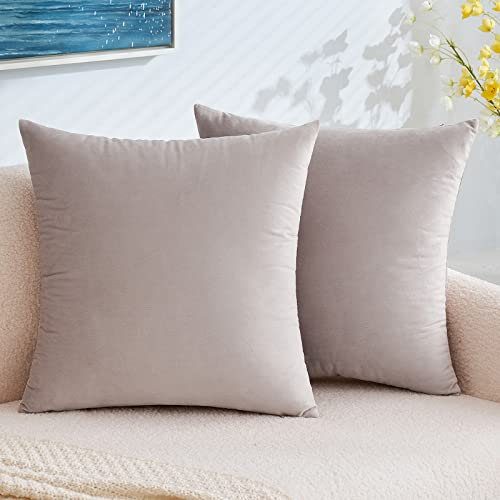 EMEMA Samt Kissenbezug Kissenhülle Dekorative Dekokissen Sofakissen Lendenkissen Wurfkissenbezug mit Verstecktem Reißverschluss Schlafzimmer Sofa 2er Set 45x45 cm Heart Wood