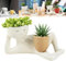 EHOTER Pot De Plante Mignon Personne Nue Relaxante Tenant Un Pot De Fleurs Pot Succulent Amusant avec Trou De Drainage Pot De Fleurs Amusant en Résine pour Cactus Succulents (Jaune)