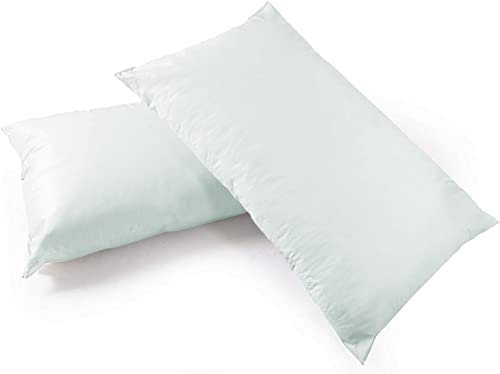 ComfortCare Waterproof and Wipe clean, Flame Retardant Pillows (2)