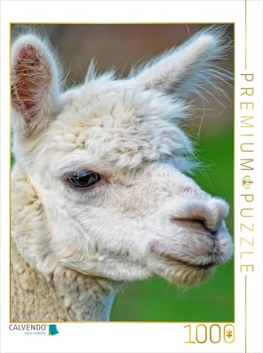 CALVENDO Puzzle Alpakas - süß und flauschig | 1000 Teile Lege-Größe 48 x 64 cm Foto-Puzzle für glückliche Stunden