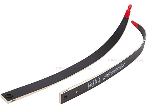 RAGIM Matrix Wurfarme Recurvebogen 68-18# (64-20#)