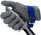 CPTDCL Level 9 Schnittfester Handschuh aus Edelstahl mit Metalldraht, langlebig, rostfrei, Metzger-Handschuh für die Küche (XL)