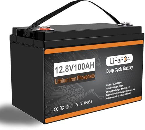 LiFePO4 - Batteria al litio da 12 V, 100 Ah, con protezione della temperatura BMS, 100 A, 15000 cicli, per camper, campeggio, barca, furgone
