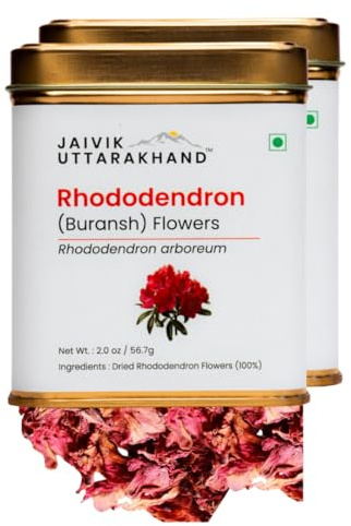 Jaivik Uttarakhand - Dried Rhododendron (Buransh) Herbal Tea (4 oz/113.4 g), Decaffeinated, Helps to slim, Detoxifying, Antioxidant Rich, tangy floral taste, Pack of 2 Tin Can