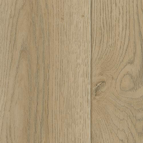 Vinylboden PVC Bodenbelag Turin | Holzoptik Diele Eiche hell creme | 200, 300 und 400 cm Breite | Meterware | Variante: 3 x 2m