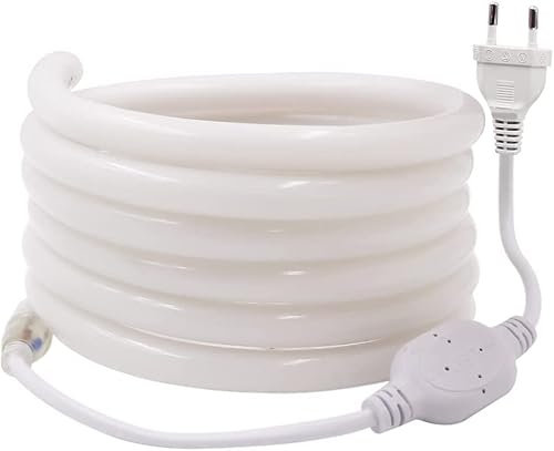 Wisada Neon LED Streifen 30M, 220V Flexibler Wasserdicht Rund Neonstreifen LED Band, 6500K Kaltweiß Neon LED Lichtband mit EU Netzstecker für Schlafzimmer, Weihnachtsfeier
