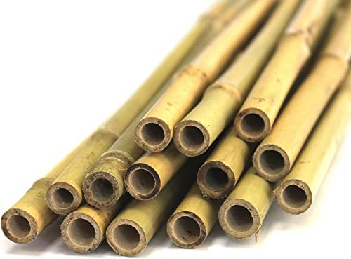 Bambus-Stäbe 1,8m, Ø 13-16mm (50) Gelb