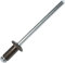 AERZETIX - C57142 - Set mit 50 Blindnieten Ø4x8 mm Farbe sepiabraun RAL 8014 - aus stahl/aluminium - pop-niet mit dornbruch