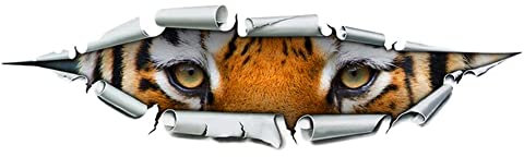 iSpchen Adesivi Per Auto 3D, Adesivi Per Auto Con Testa Tigre In Pvc Adesivo Decorativo Per Specchietto Retrovisore Per Auto Con Disegno Creativo Occhio Di Tigre Parete Per Moto Casco Campeggio