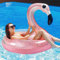 ACTOYS Fenicottero Gonfiabile, Anello da Nuoto per Piscina, Adulti, Giochi d'Acqua in Spiaggia-Diametro 100cm