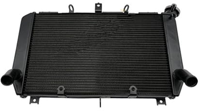 Compatible Con Kawasaki Z900 2017-2021, Sistema Refrigeración Del Radiador Aluminio Para Motocicleta, Conjunto Tanque Agua, Radiador Enfriador De Agua