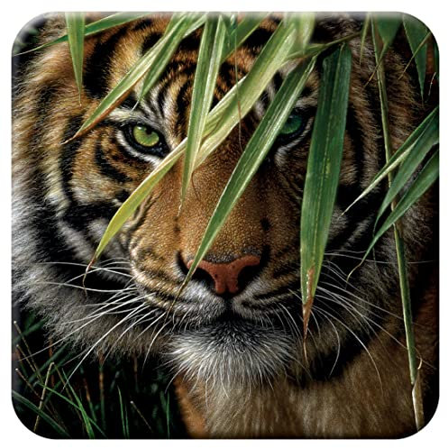 3D LiveLife Cork Coaster - Emerald Forest from Deluxebase. Lenticular 3D Cork Tiger Coaster. Non-slip drinks mat with original artwork licensed from renowned artist, Collin Bogle