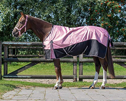 QHP Outdoordecke Turnout Decke Falabella Collection mit Fleecepolster (85 cm, Blossom)