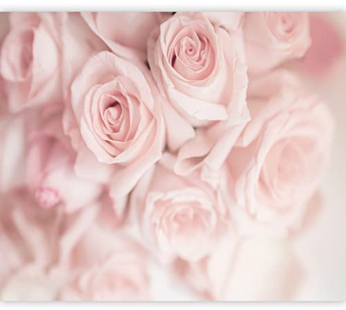 murando Fototapete selbstklebend Blumen Rosen 343x256 cm Tapete Wandtapete Klebefolie Dekorfolie Tapetenfolie Wand Dekoration Wandaufkleber Wohnzimmer Flur Natur Botanik rosa