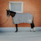 Sunride Abschwitzdecke für Pferde (Boston) aus Softshell mit Fleece - schnelltrocknend, reflektierend und schmutzabweisend (155 cm, grau)