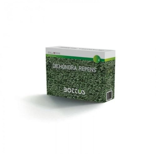 Semi Prato Dichondra Repens Bottos1kg