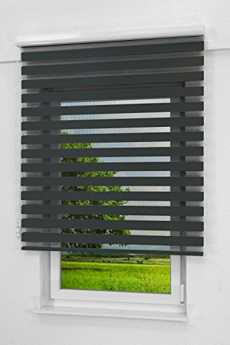 LYSEL Outlet Doppelrollo Kassette Anthrazit, (B x H) 80cm x 175cm in grau/anthrazit