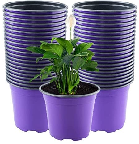 LATERN 50 Stück 15CM Blumentöpfe aus Kunststoff, Violett Leichte Samen-Starttöpfe Pflanzgefäße für Setzlinge Blumen-Pflanzenbehälter (15 x 13cm)