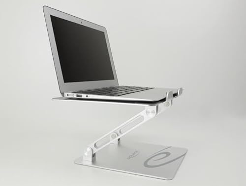 DeLOCK 18414 Buchständer, 39,6 cm, Aluminium
