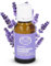 RATHAUS APOTHEKE WIEN® Französisches Lavendelöl 20ml [FÜR IHRE PERSÖNLICHE AUSZEIT] - Ätherisches Öl höchster Reinheit für Aromatherapie - körperliches, seelisches & spirituelles Wohlbefinden