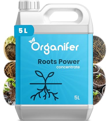 Wurzelstimulator - Roots Power Konzentrat - 5 L - Pflanzenwurzelpflege - Pflanzengesundheitskonzentrat - Wurzelwachstum - Organifer