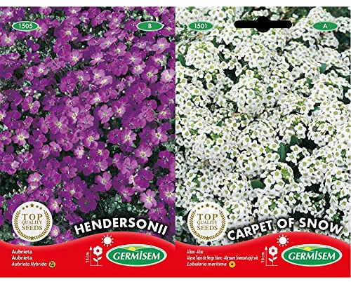 Germisem Blaukissen, mehrfarbig, EC1505 & Steinkraut alyssum, mehrfarbig, EC1501