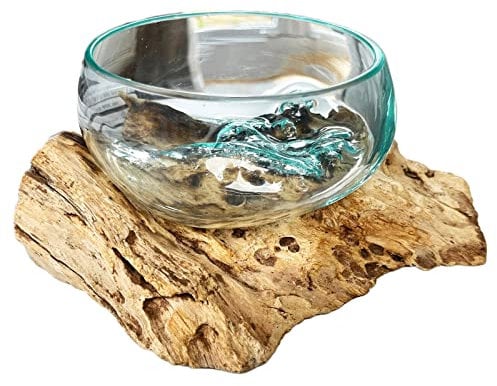 Darthome Teak Root with Mini Molten Glass Fruit Bowl 12x13x12cm Glass Rustic Wood Base Sculpture