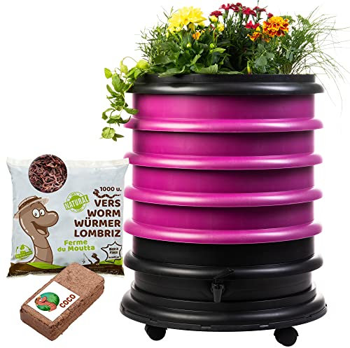 WORMbox | Wurmkomposter Wurmfarm Wurmkiste mit 4 Schalen Himbeere + Pflanzgefäß + 500g Kompostwürmer / 1000 STK + 1 Coco | 64 Liter | Regenwurmkomposter, Kompostwürmer produzieren Wurmhumus