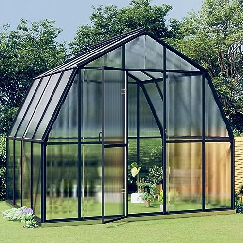 Camerina Gewächshaus mit Fundamentrahmen Anthrazit 6,43 m² Aluminimum Anzucht GewäChshaus TomatengewäChshaus Glashaus GewäChshaus Treibhaus