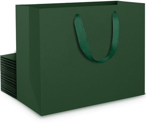 EUSOAR Papiertüten mit Henkel Grün - 20 stück 230GSM Papier Geschenktüten M 27x8x21 cm - Dunkelgrün Kraftpapier Tüten - Dark Green Paper Gift Bags Elegant - Papiertaschen Grünes für Mann Geburtstag