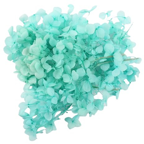 Gkhlg 1 Stück Trockenblume Hortensie Natürliche Deko für Kuchen Cupcake Dekorieren Bastelprojekte Trockenblumen für Dekoration für Bäcker Party Planer DIY Enthusiasten (Türkis)
