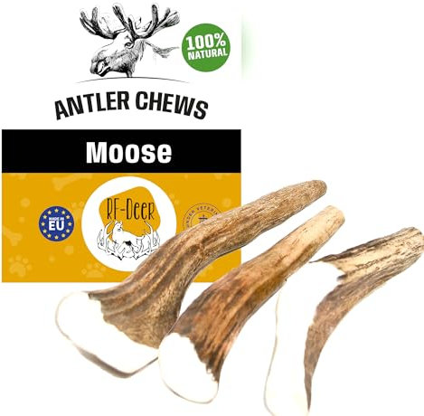 RF - DEER Elchgeweih, Geweihstück Größe XL - 1 Stück - Natürlicher Geweih-Kausnack für Hunde, Gesunder Kauspielzeug, Kauknochen für Genuss und Zahnpflege, Hard Version, 120-180 g, 14-17 cm