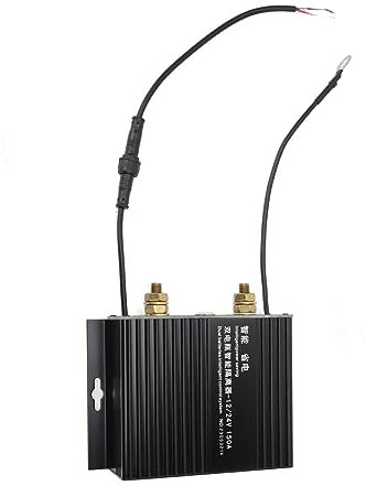 Pyhodi Generatore Eolico a Turbina, Kit Turbina Eolica con 8 Pale, Generatore Eolico da 600 W, Regolazione Automatica della Direzione del Vento, per Terrazza, Nautica, Barca,