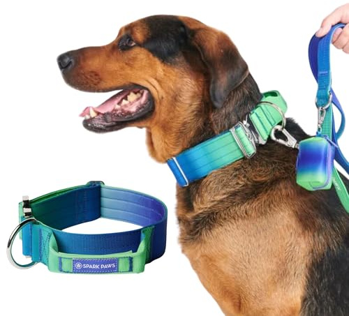 Spark Paws Taktisches Hundehalsband – strapazierfähig, Premium-Qualität, dick und langlebig für große und mittelgroße Hunde – Limettengrün – M – 3,8 cm