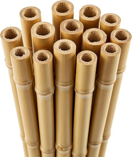 Lot de 10 cannes de jardin en bambou robuste de 1,8 m – Bâtons de support pour plantes de 10 à 12 mm d'épaisseur, respectueux de l'environnement et durable pour plantes grimpantes, tomates, fleurs et