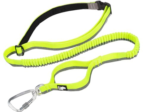 Truelove Bungee Elastic Waist Hands Free Dog Jogging Lead, Neon Yellow, L | Shock Absorbing Buffer, Dual Control Handles, Alloy Carabiner, Quick-Release Buckle, Adjustable Length, Jog & Walk, TLL2271
