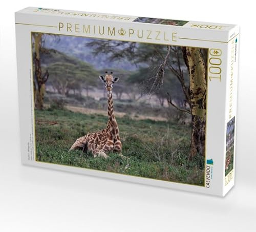 CALVENDO Puzzle Giraffen – Mittagsruhe | 1000 Teile Lege-Größe 64 x 48 cm Foto-Puzzle für glückliche Stunden